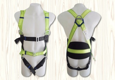 Safety Plus World CE Harness with Back Support